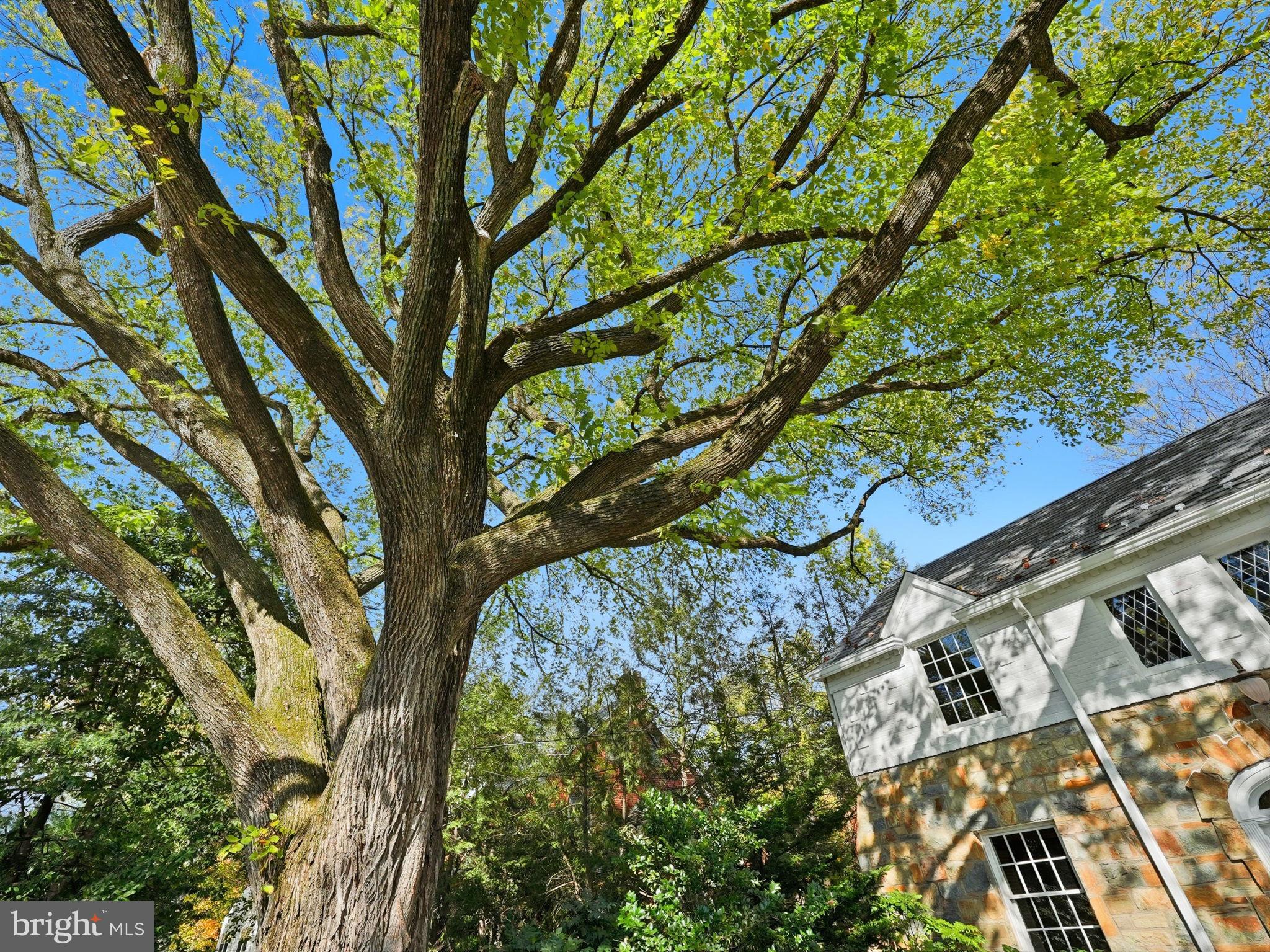 3225 North Glebe Road Arlington, VA 22207 - Photo 4 of 102