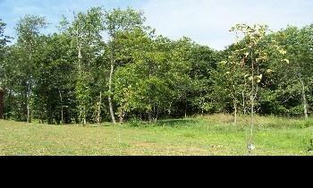 22 Rush Branch Road Somerset, KY 42501 - Photo 1 of 5 Primary Photo
