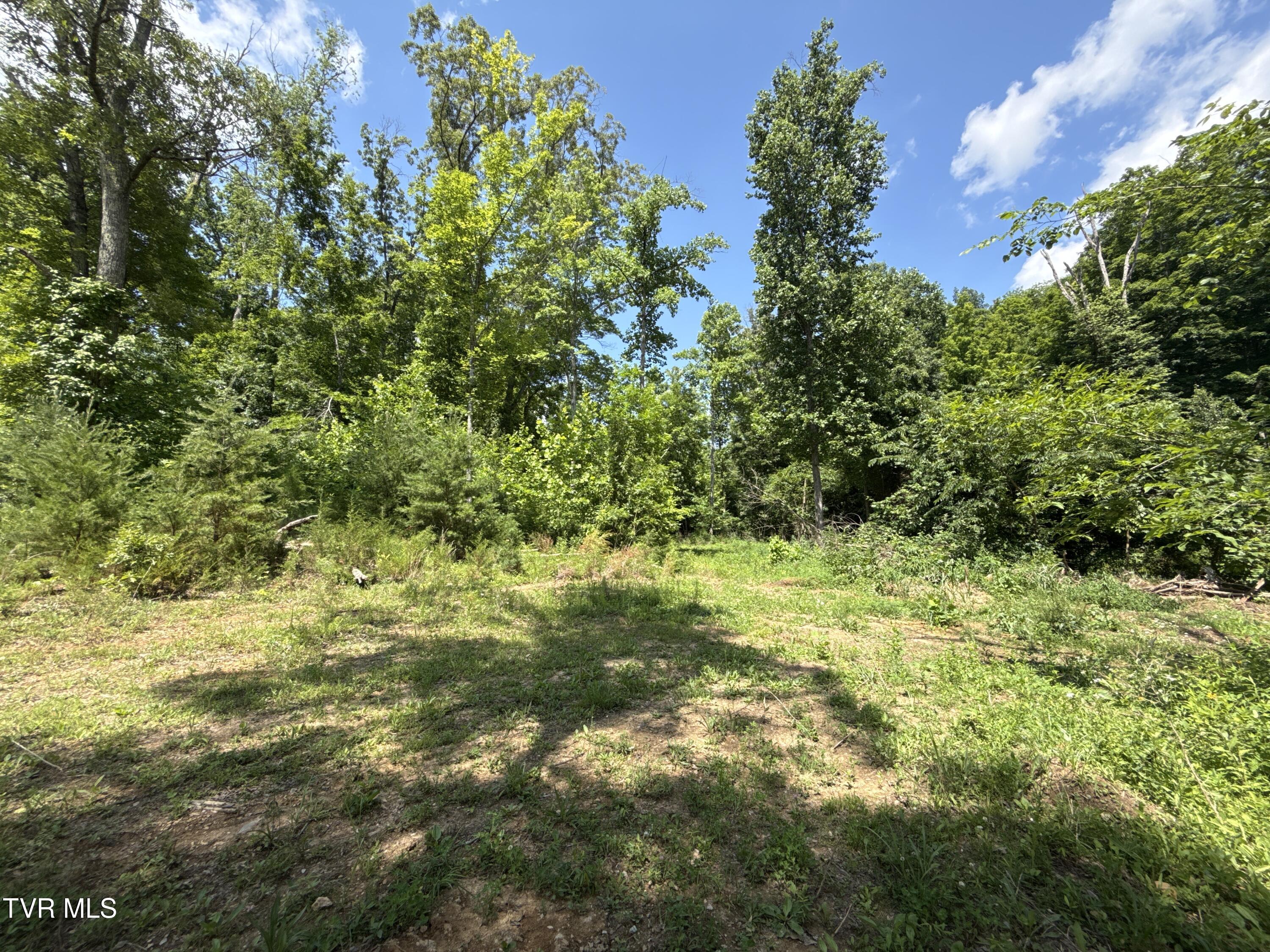 12-ac Max Jett Road Johnson City, TN 37601 - Photo 7 of 27 _Pic7 (4)