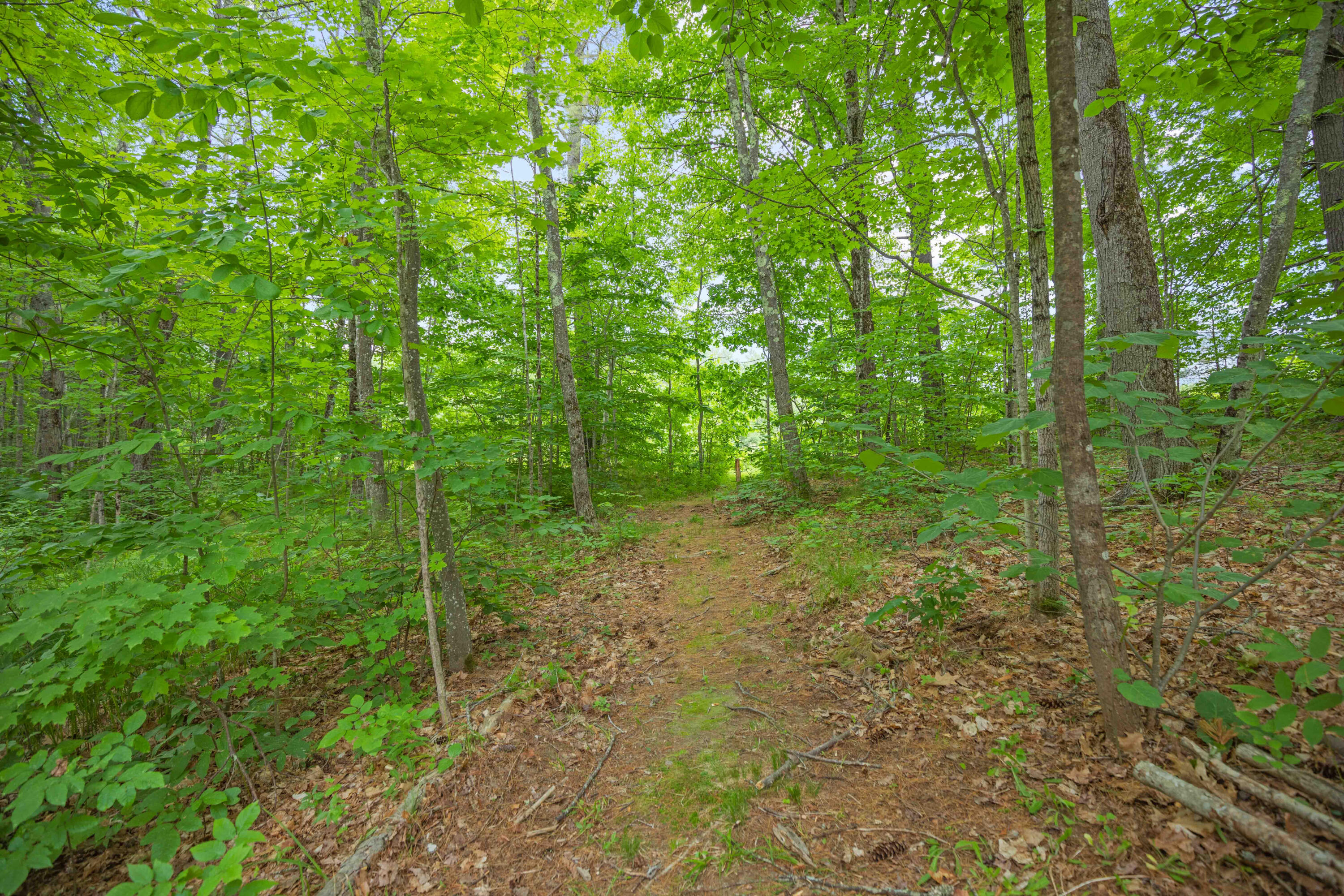 280 Meadow Road Raymond, ME 04071 - Photo 32 of 36 280 Meadow Road Raymond-010