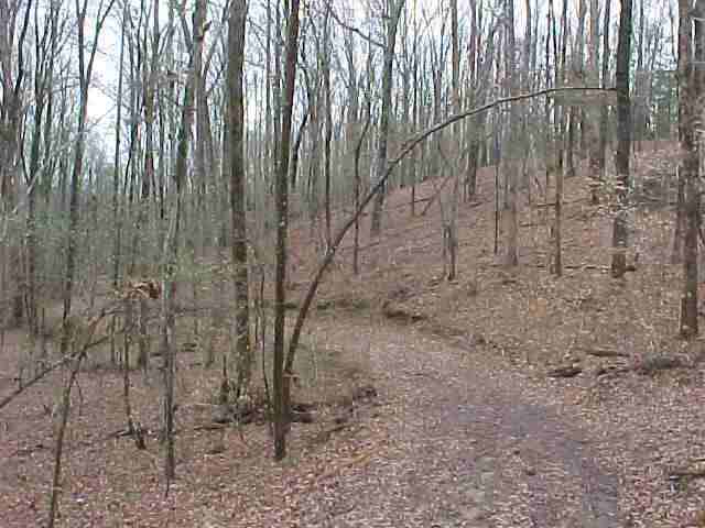 Tract D Greg Shoals Road Iva, SC 29655 - Photo 2 of 9 Gallery Image 2