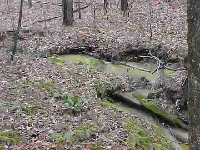 Tract D Greg Shoals Road Iva, SC 29655 - Photo 3 of 9 Gallery Image 3