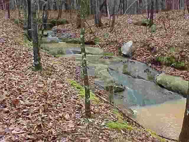 Tract D Greg Shoals Road Iva, SC 29655 - Photo 5 of 9 Gallery Image 5