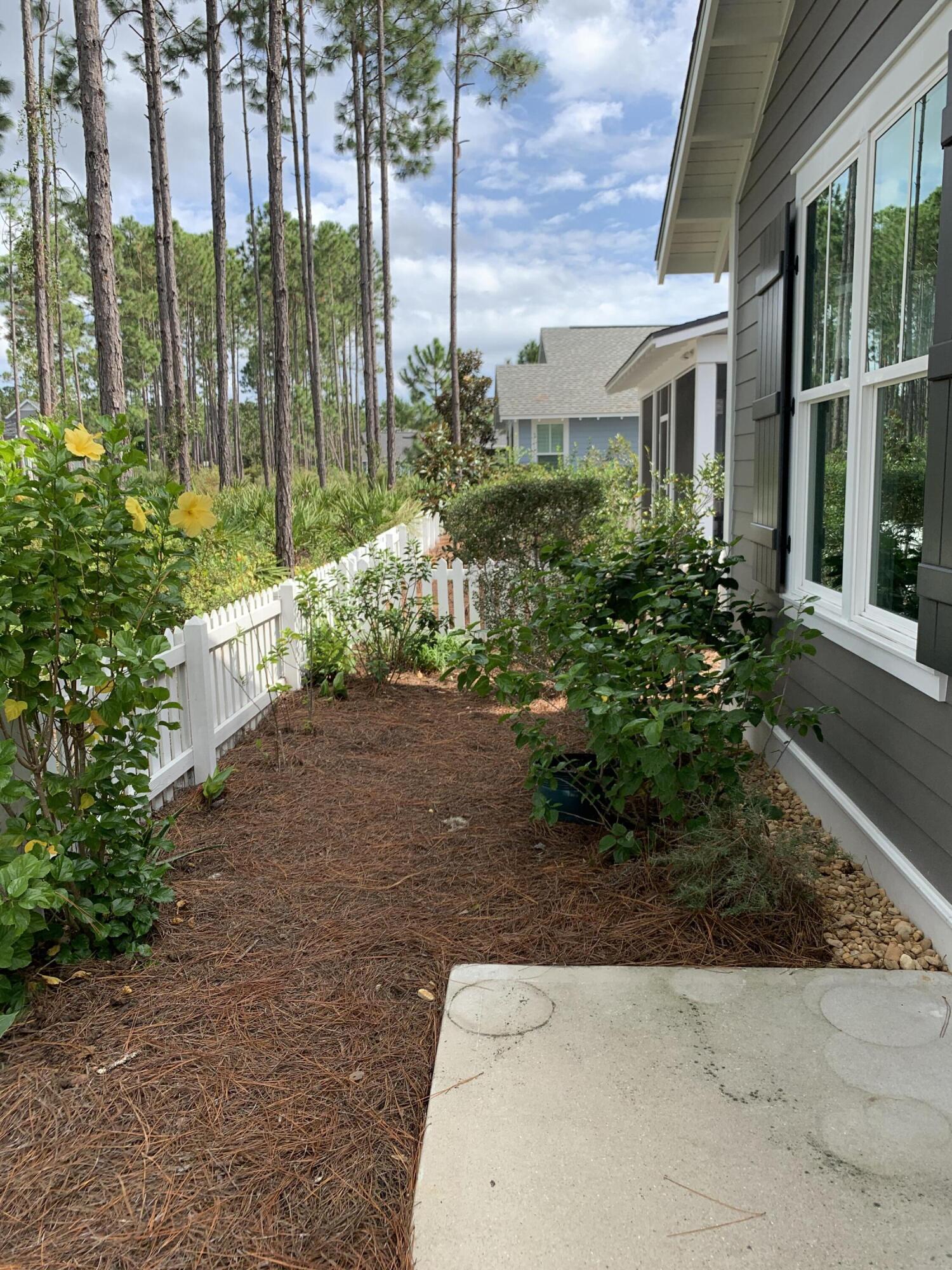 27 Somersault Lane Inlet Beach, FL 32461 - Photo 31 of 42 a garden view