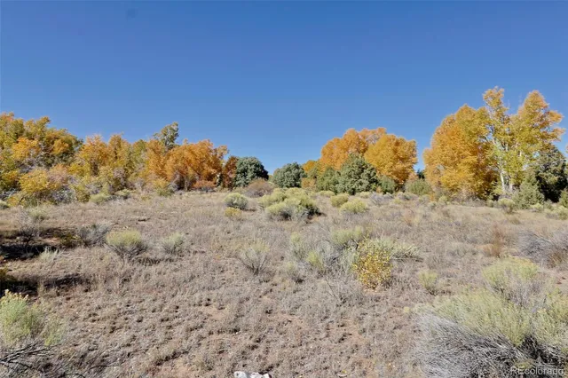 a view of a dry yard with trees in the background