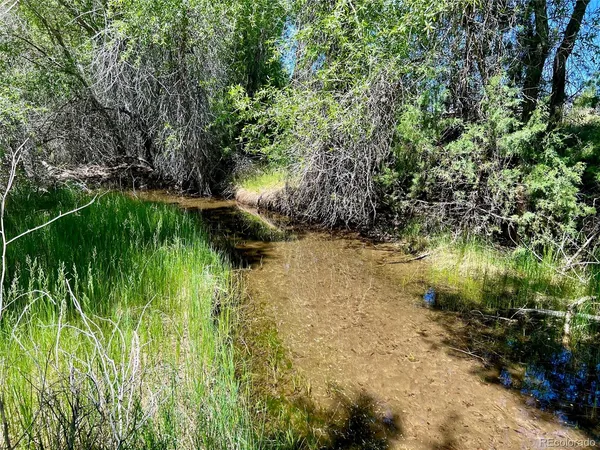 a view of a house with a tree