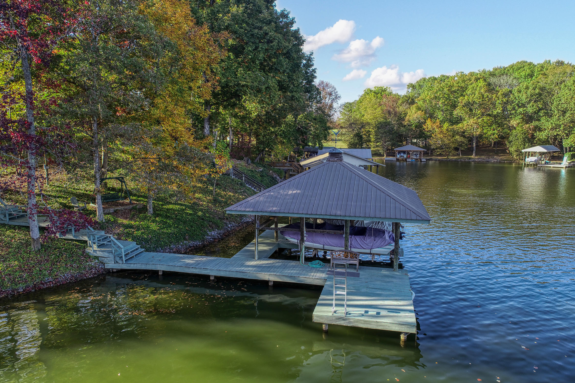 305 Goose Point Spring City, TN 37381 - Photo 14 of 39 dock