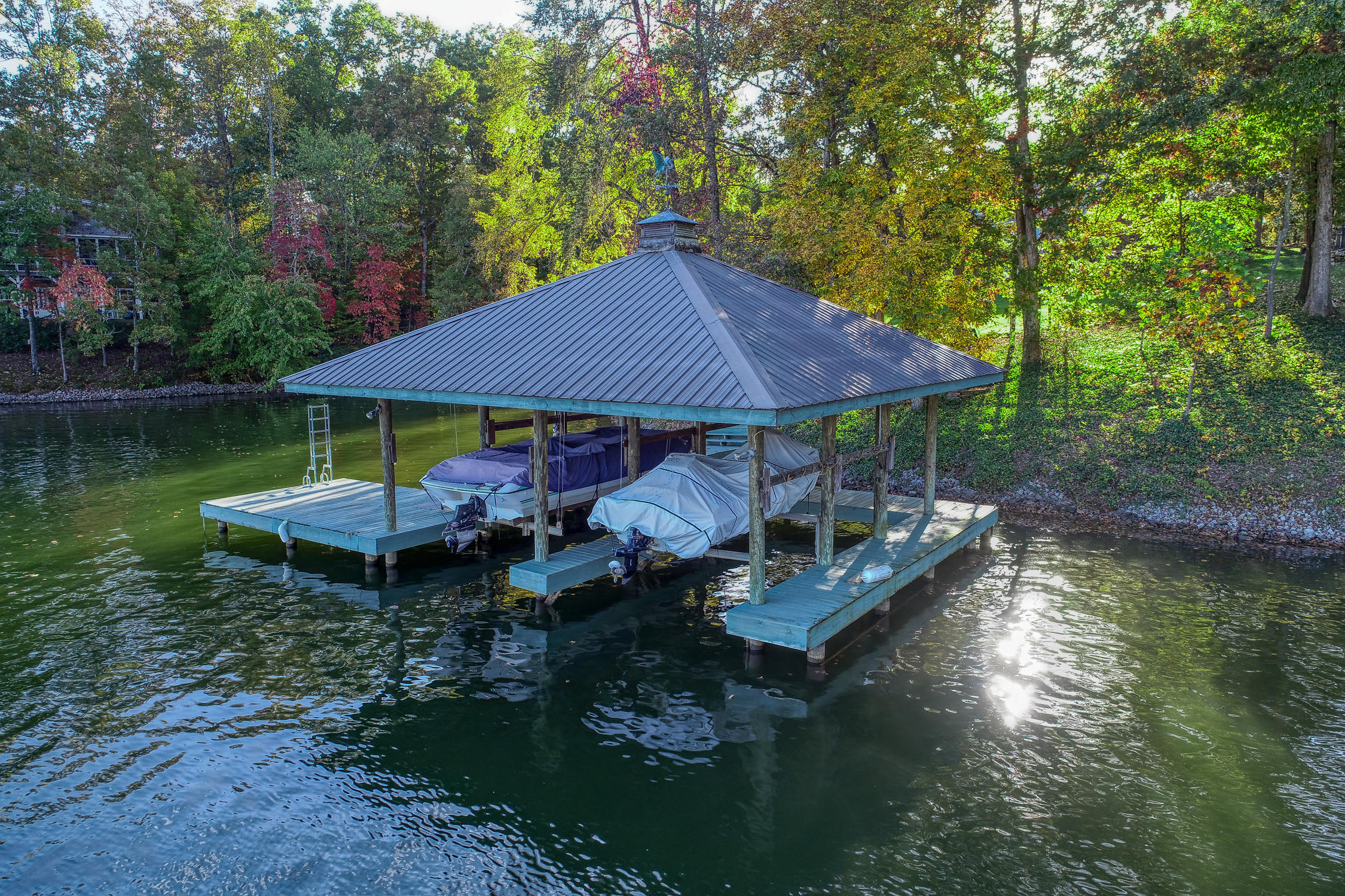 305 Goose Point Spring City, TN 37381 - Photo 15 of 39 dock