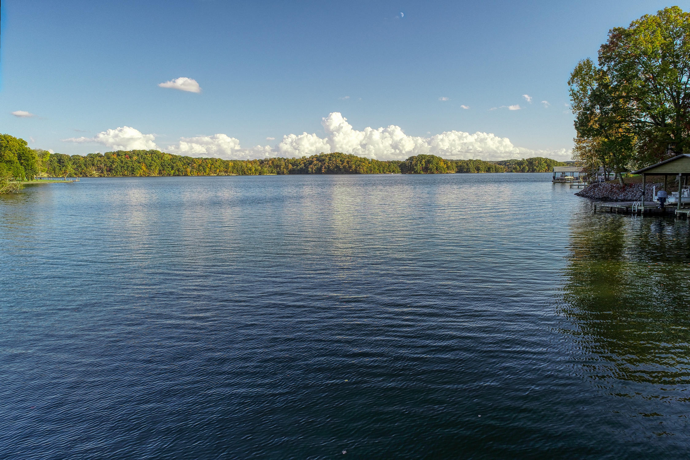 305 Goose Point Spring City, TN 37381 - Photo 16 of 39 view from dock