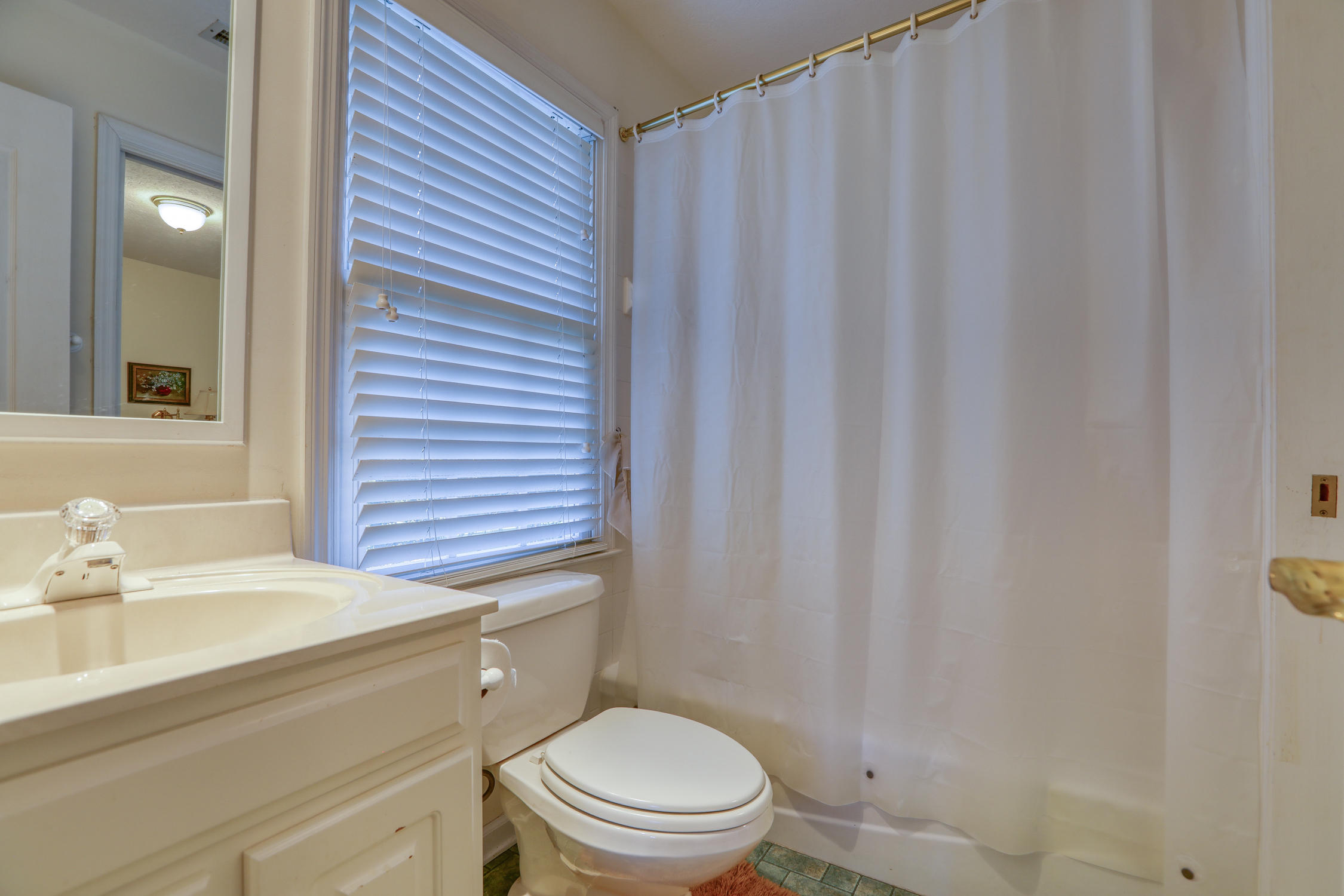 305 Goose Point Spring City, TN 37381 - Photo 33 of 39 jack n jill between 3 and 4