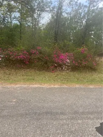 $75,000 | 0 Ian Johnson Road, Otis, LA 71466