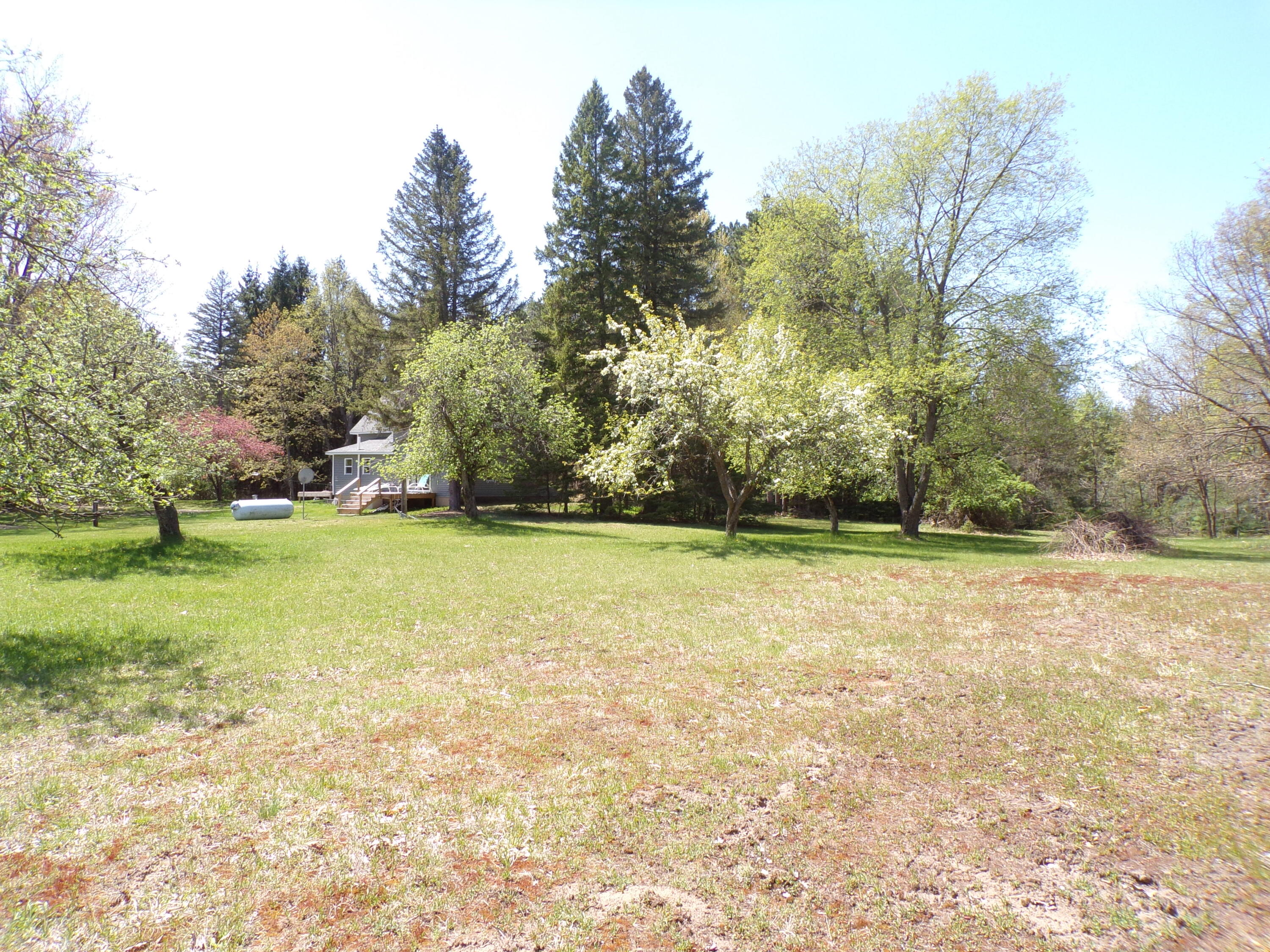 8411 Puustinen Road Kaleva, MI 49645 - Photo 41 of 58 From Behind House