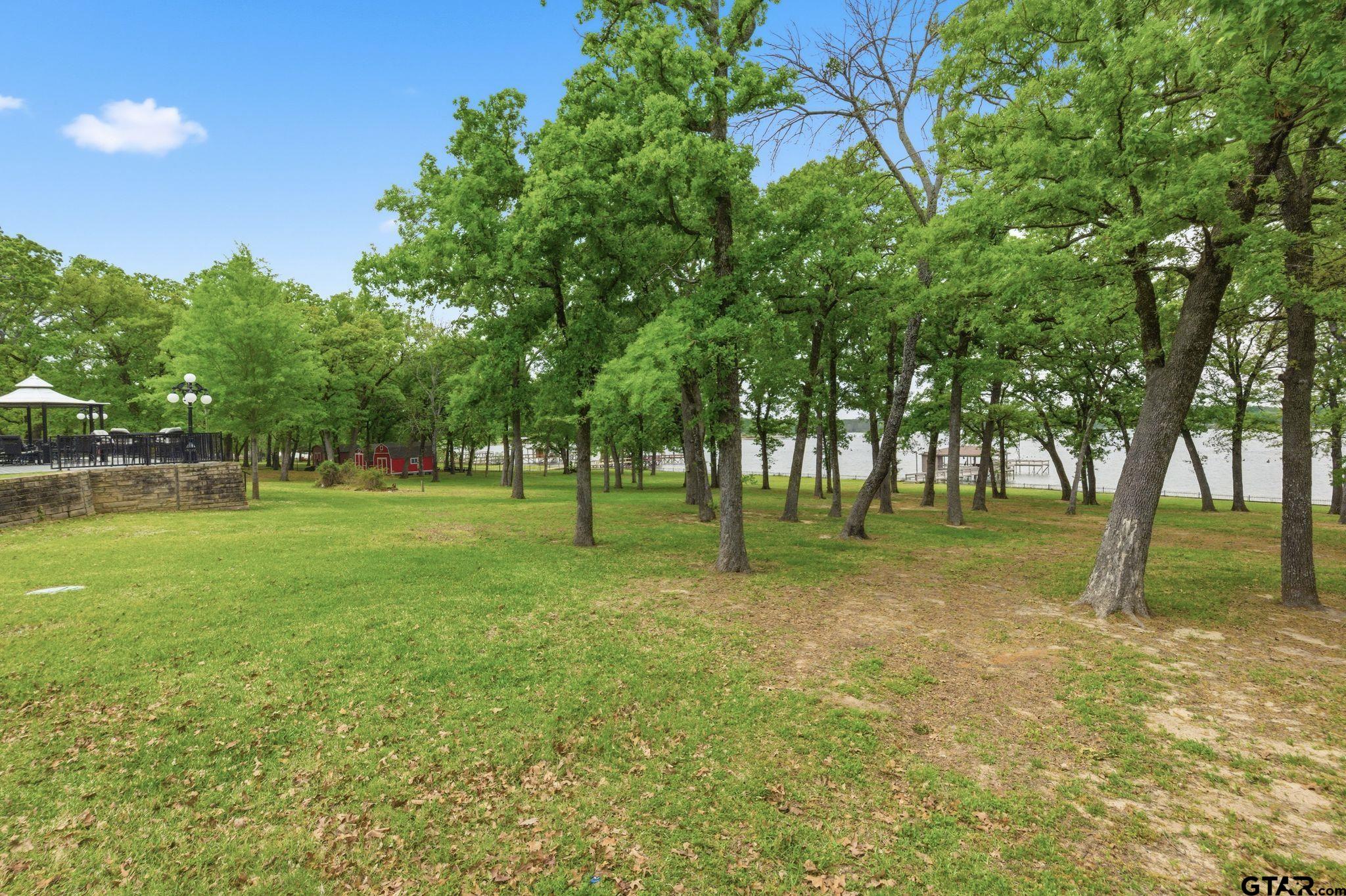 511 Rcr 3346 Emory, TX 75440 - Photo 10 of 48 a view of a tree in a yard
