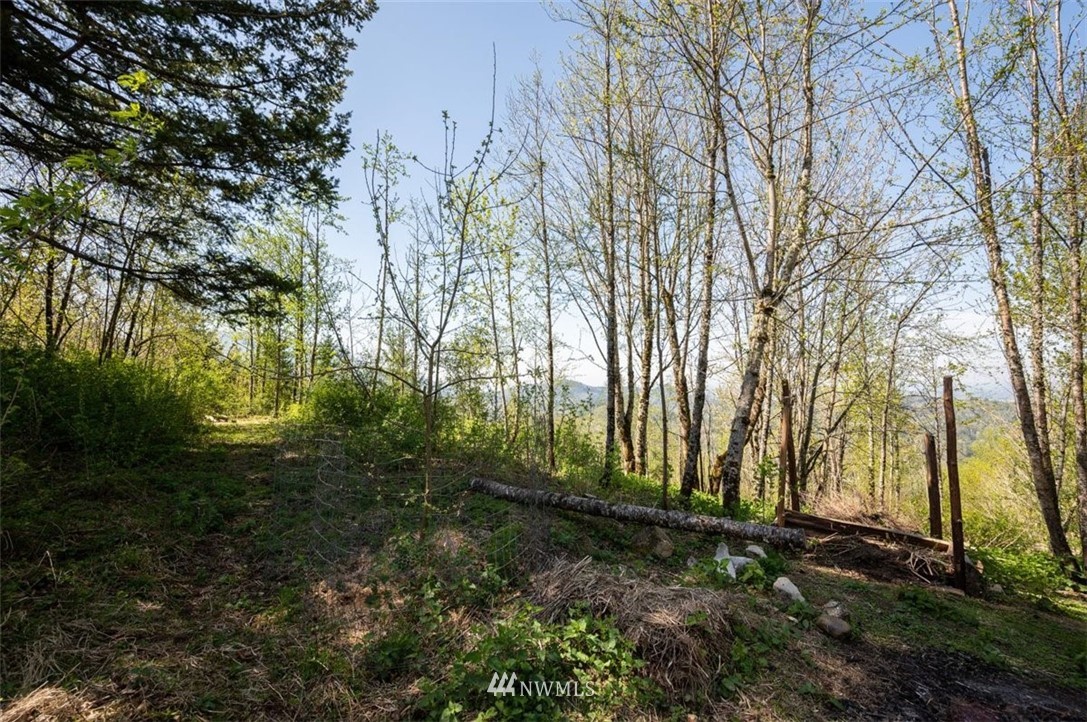5614 South Pass Road Sumas, WA 98295 - Photo 13 of 28