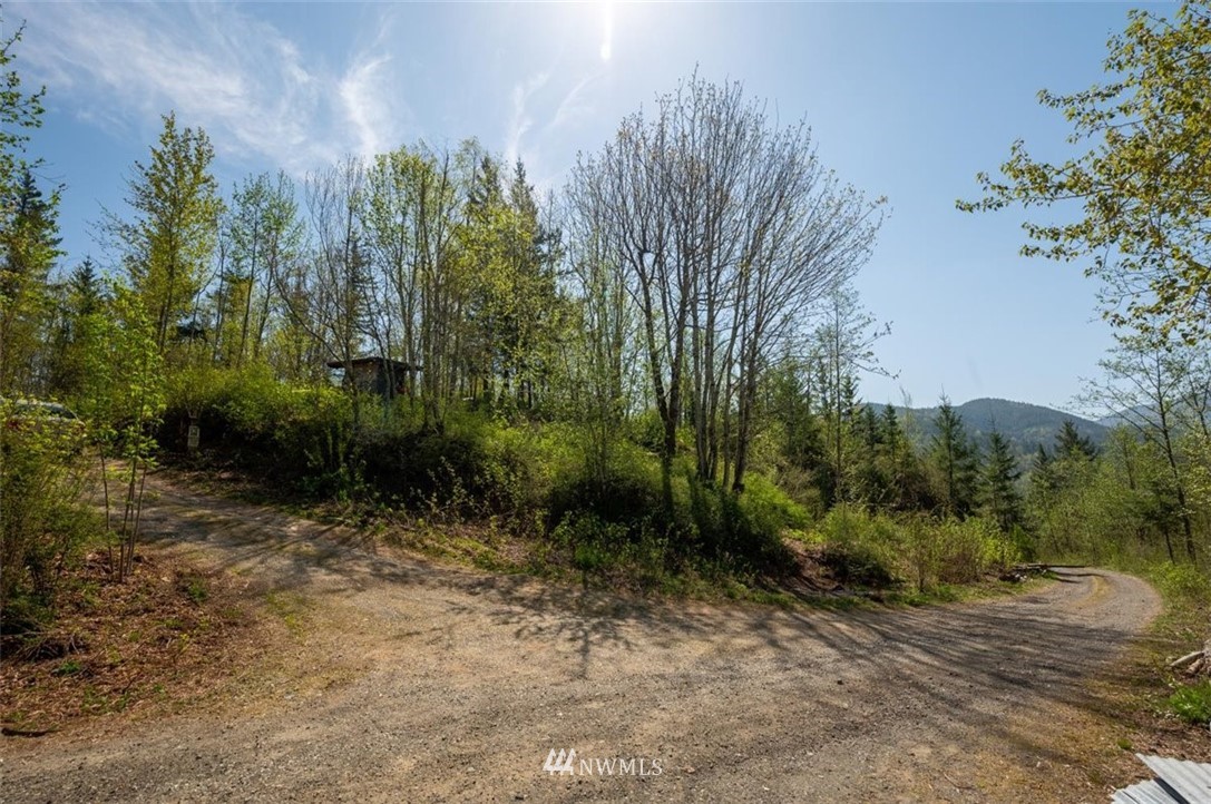 5614 South Pass Road Sumas, WA 98295 - Photo 14 of 28