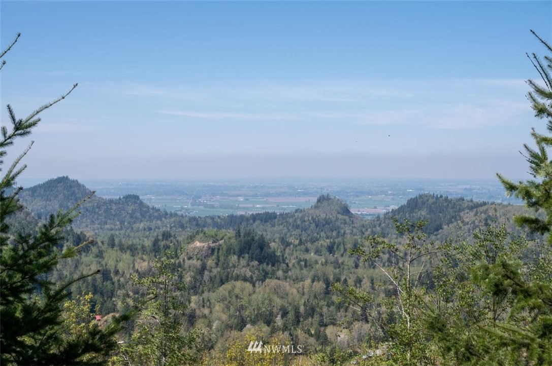 5614 South Pass Road Sumas, WA 98295 - Photo 6 of 28