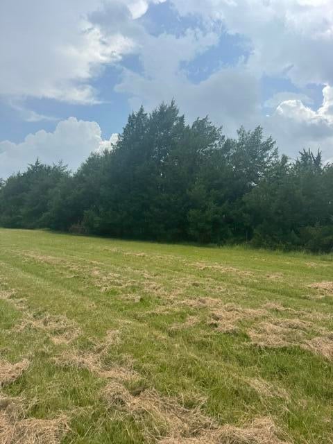 684 County Road Tupelo, MS 38801 - Photo 15 of 42 Gallery Image 15