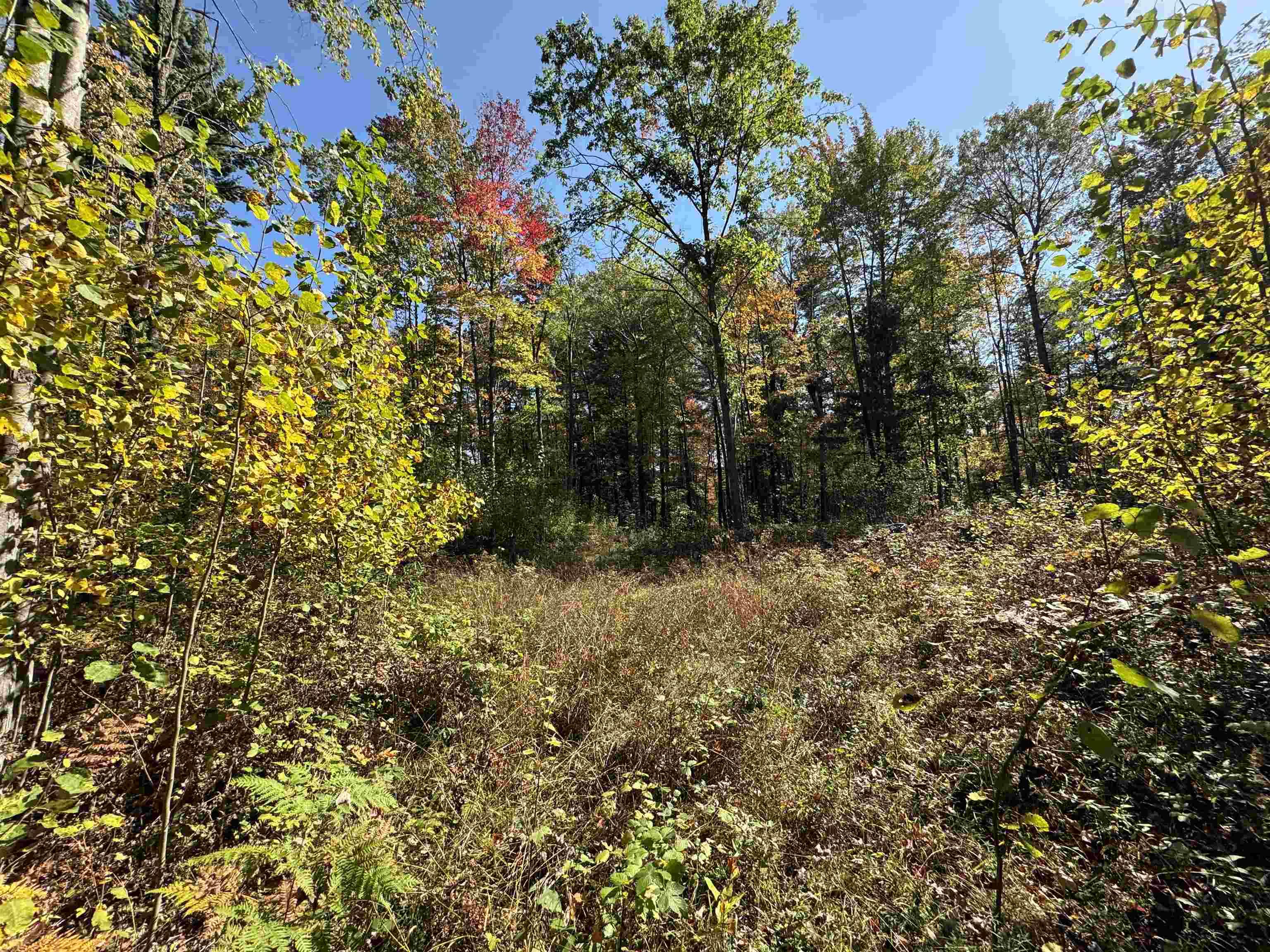 0 Cranberry Lake Road Prescott, MI 48756 - Photo 5 of 17 Gallery Image 5