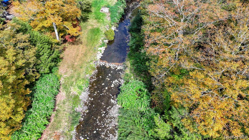 Grooville Road Livingston Manor, NY 12758 - Photo 2 of 15 a view of a garden with plants