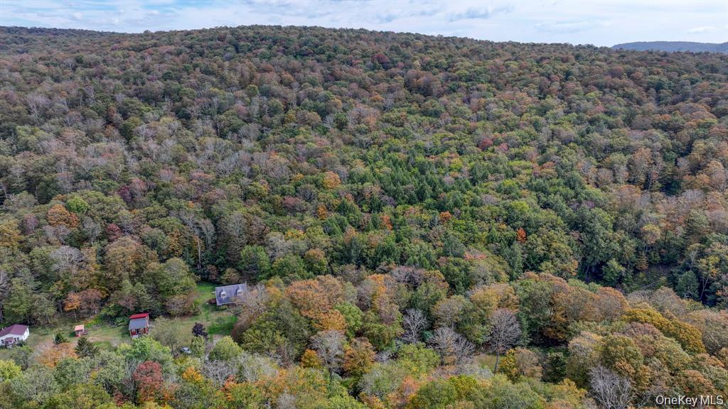 Grooville Road Livingston Manor, NY 12758 - Photo 3 of 15 a view of a field with a tree