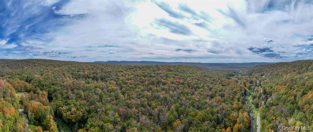 Grooville Road Livingston Manor, NY 12758 - Photo 5 of 15
