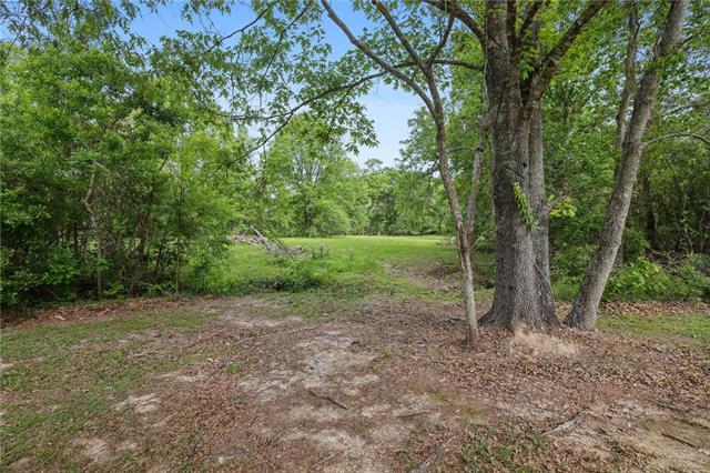 16520 Pine Lane Springfield, LA 70462 - Photo 6 of 20