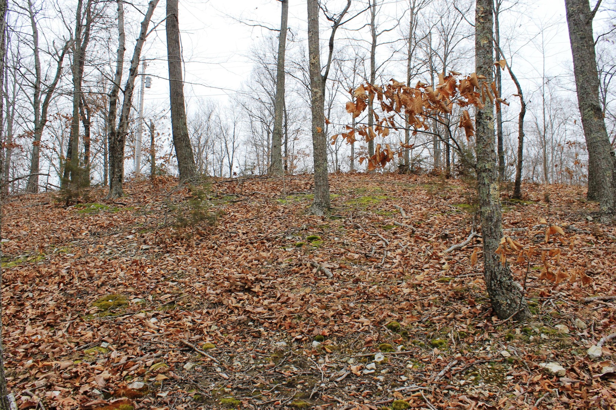 2 Cornerstone Pkwy Point Allons, TN 38541 - Photo 9 of 13