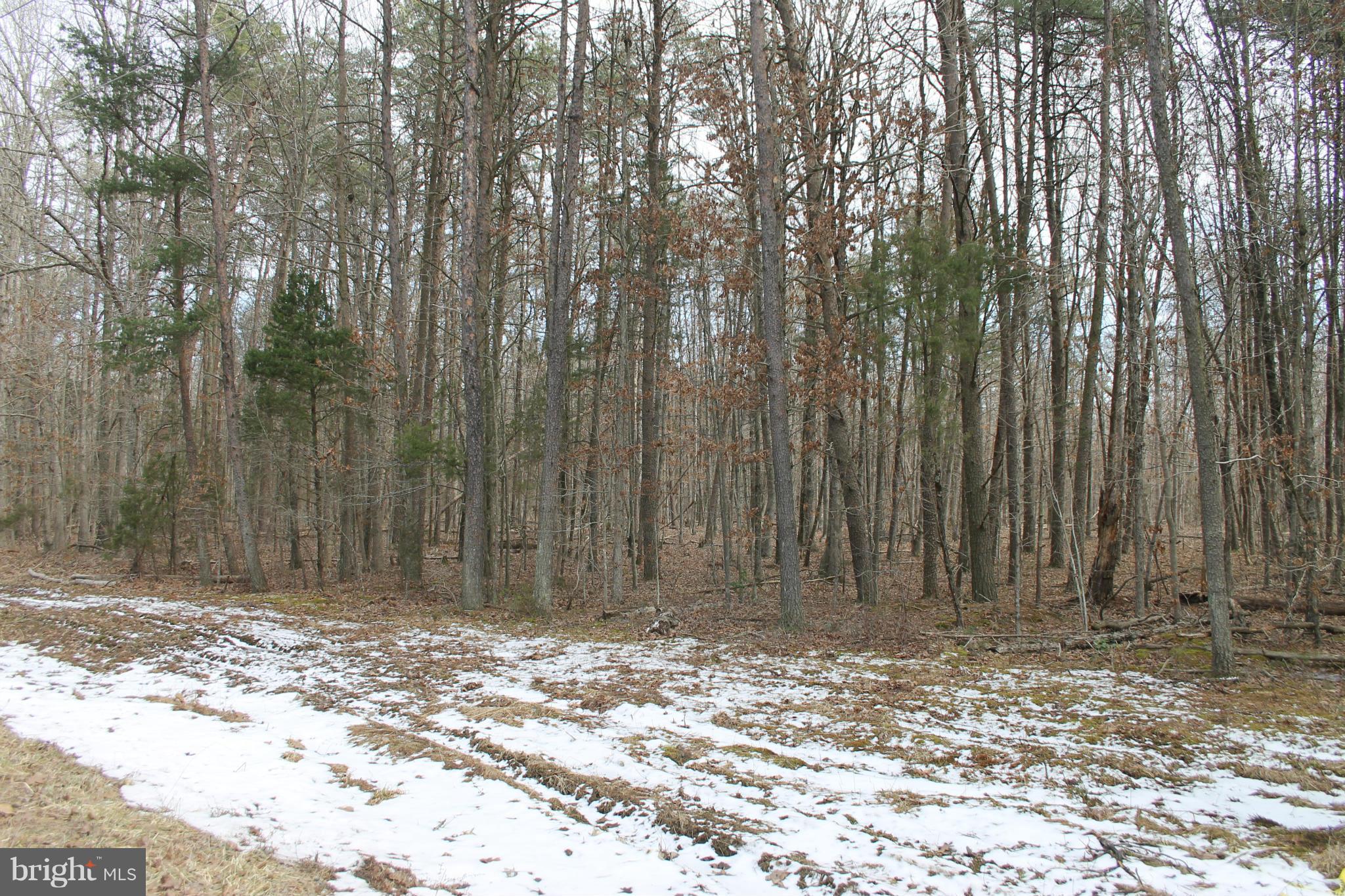 Ritchie Road Bealeton, VA 22712 - Photo 12 of 14 Exterior (General)