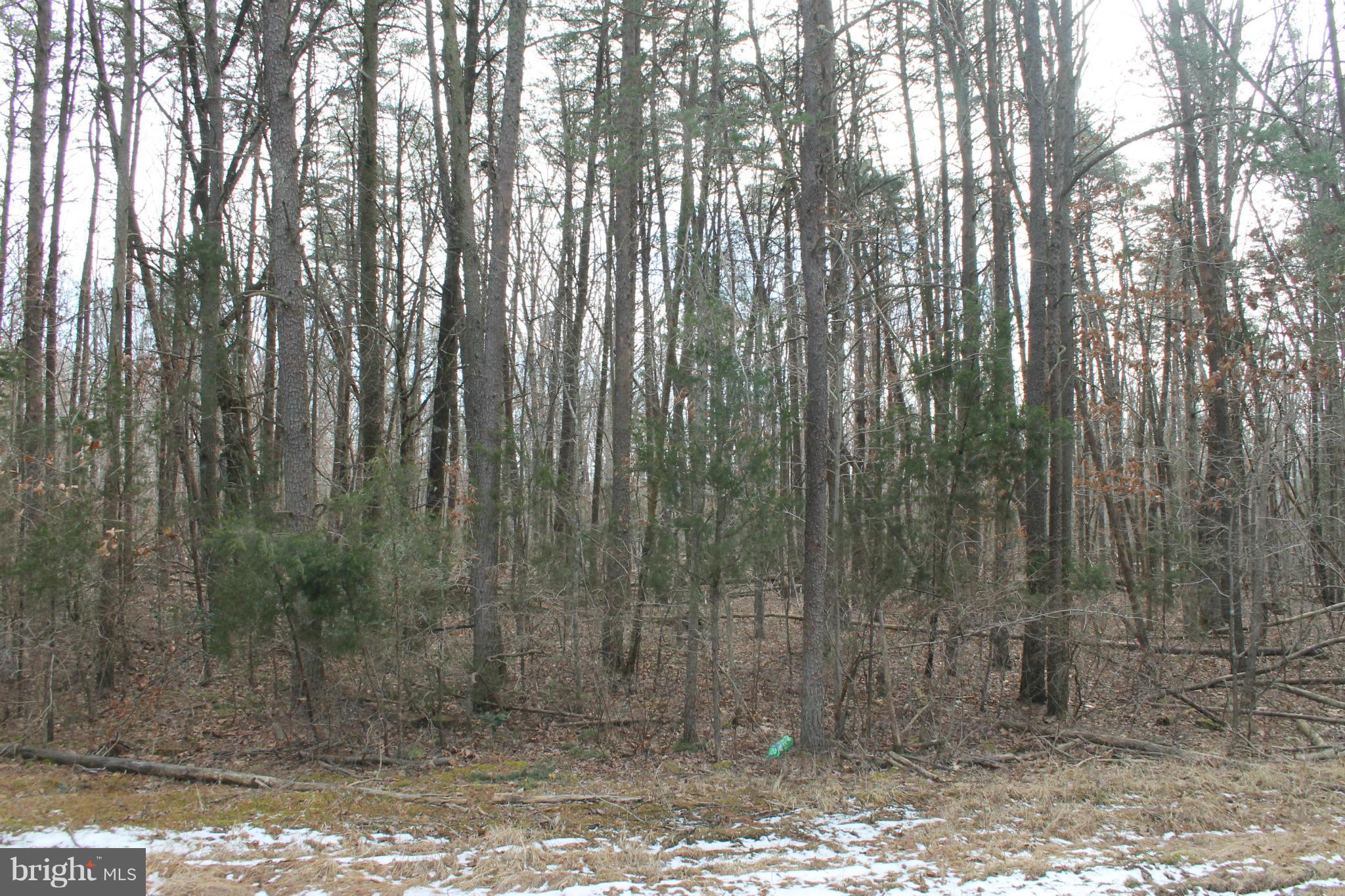 Ritchie Road Bealeton, VA 22712 - Photo 14 of 14 Exterior (General)
