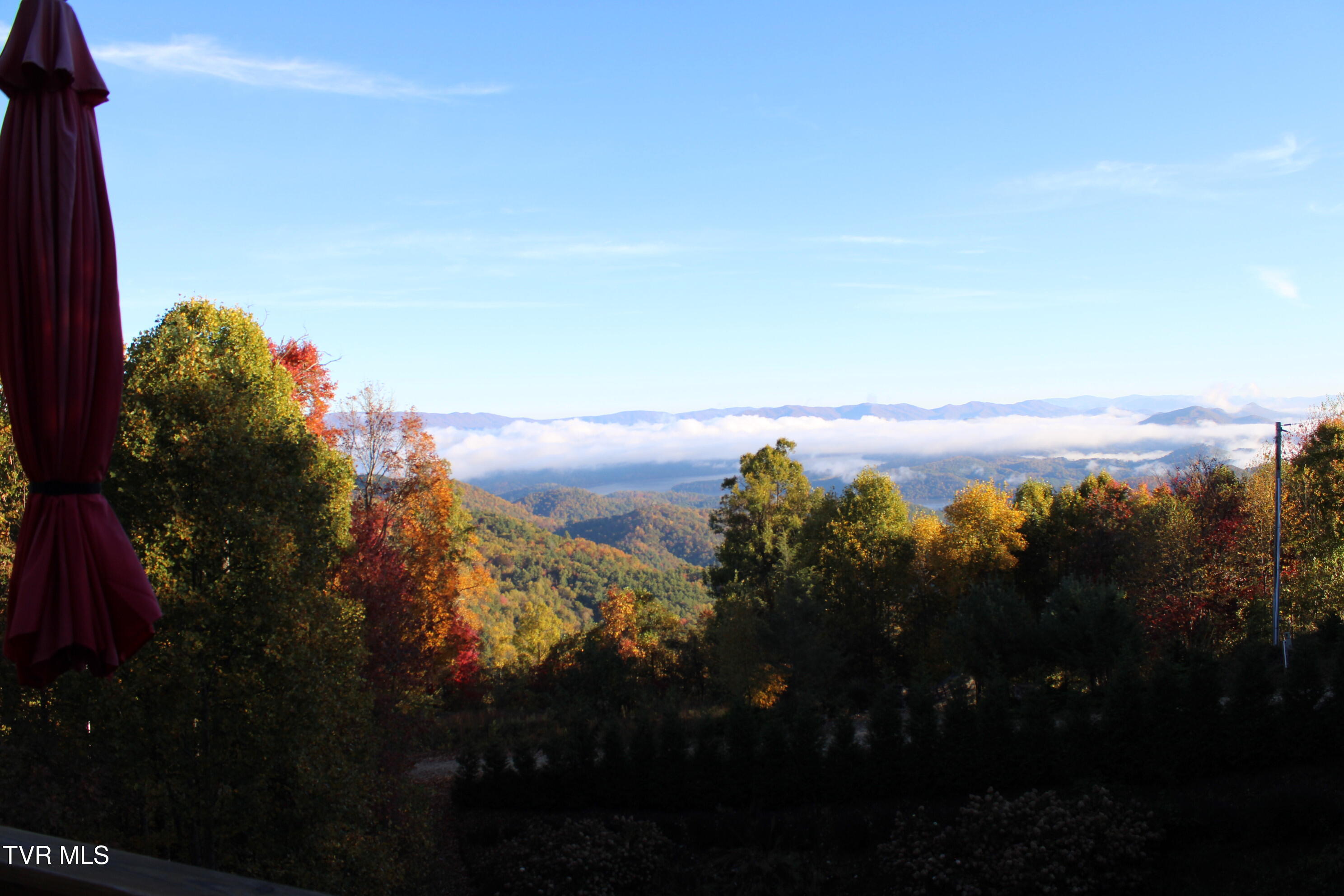 807 Vista Road Butler, TN 37640 - Photo 53 of 61 Back deck view in the fall