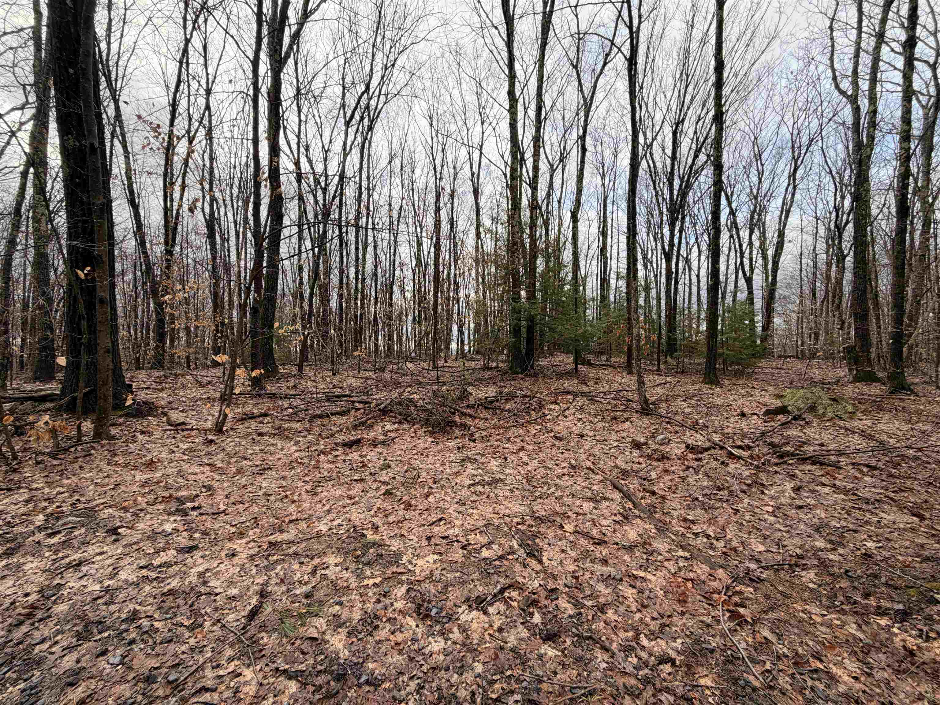 0 Old Walpole/valley View Road Keene, NH 03431 - Photo 11 of 23