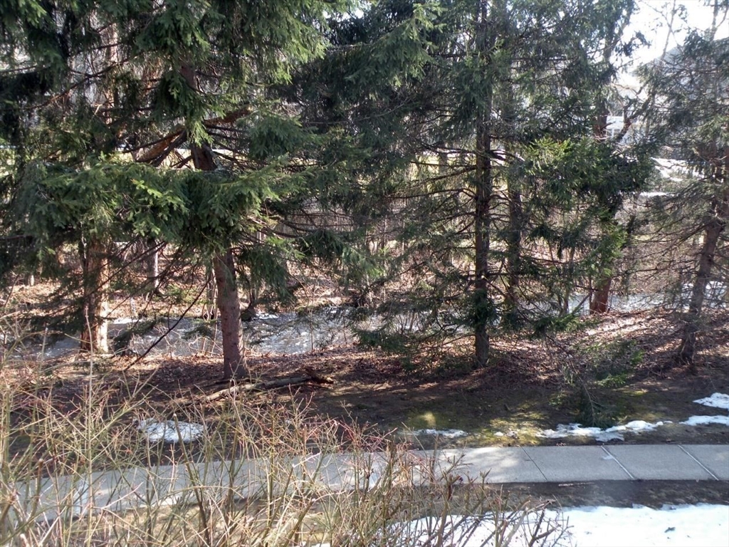 346 Neponset Street, Unit F Canton, MA 02021 - Photo 2 of 16