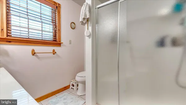 a bathroom with a toilet and a shower