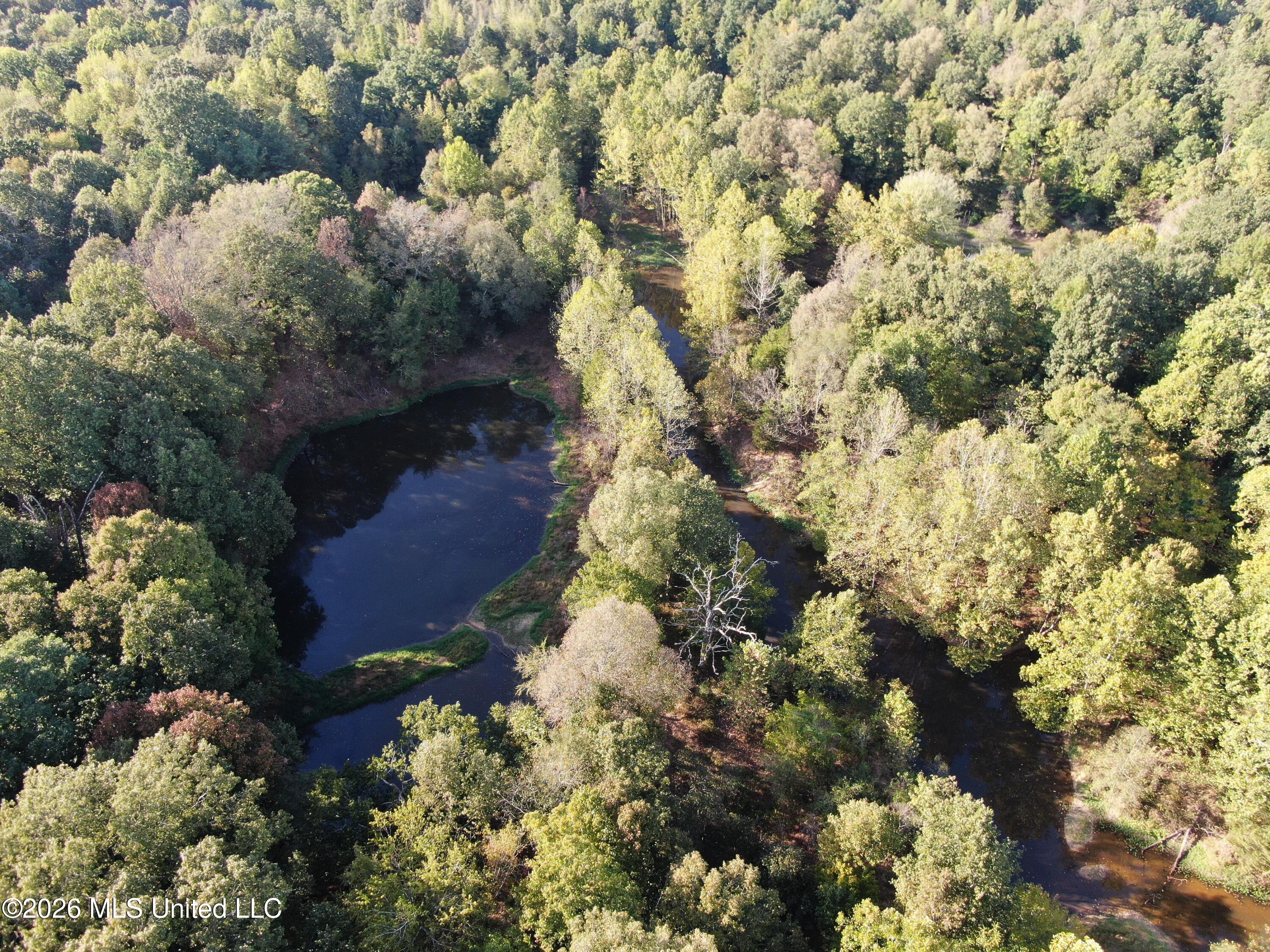 15 Tulane Road Nesbit, MS 38651 - Photo 7 of 64 DJI_0219