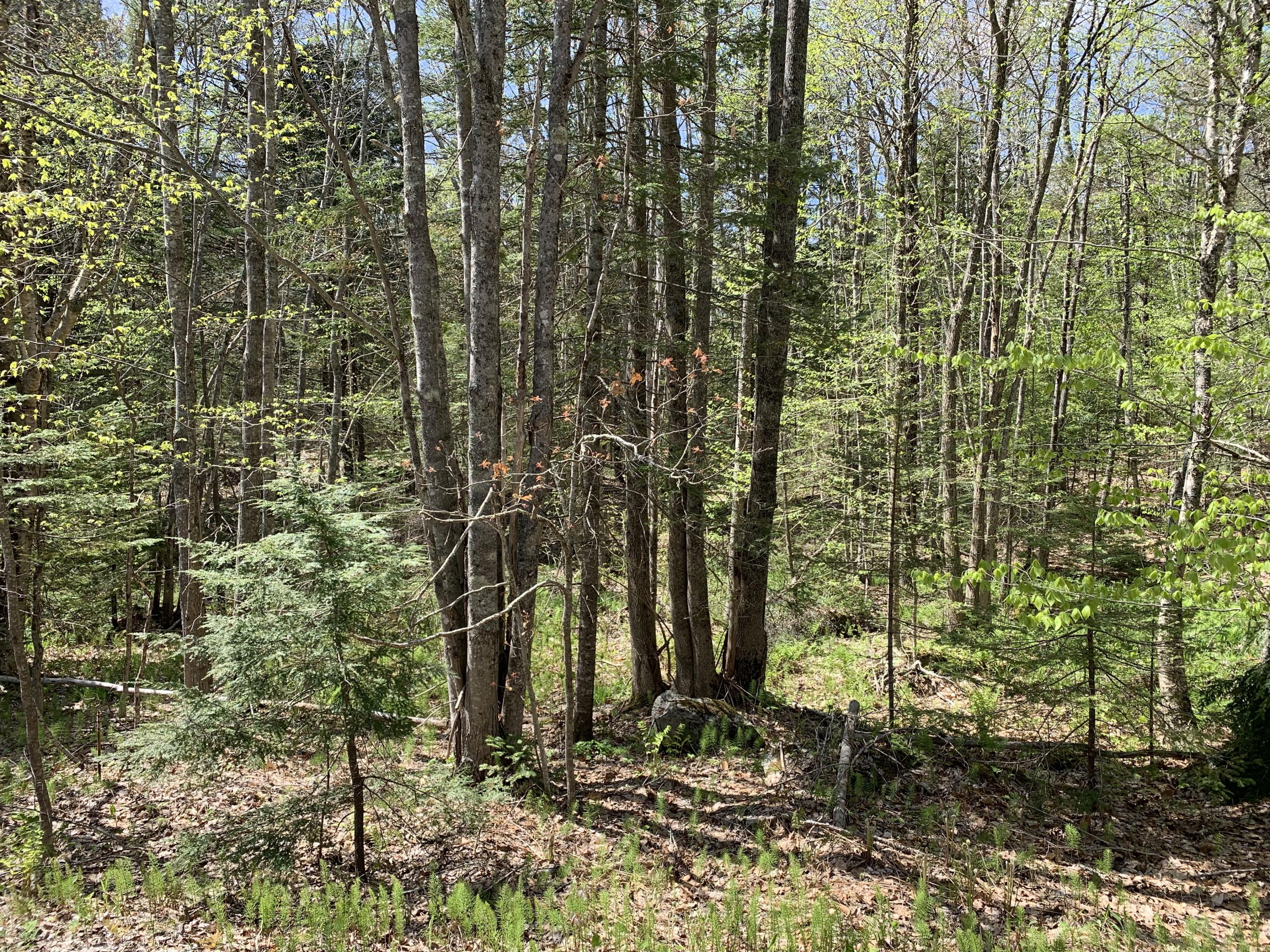 0 Upper Round Pond Road Bristol, ME 04539 - Photo 2 of 2 6hzSFk6XRVmHL0UgekNRBA