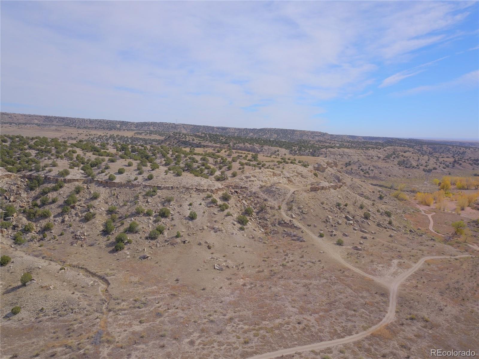 a view of a dry yard with wooden floor and fence