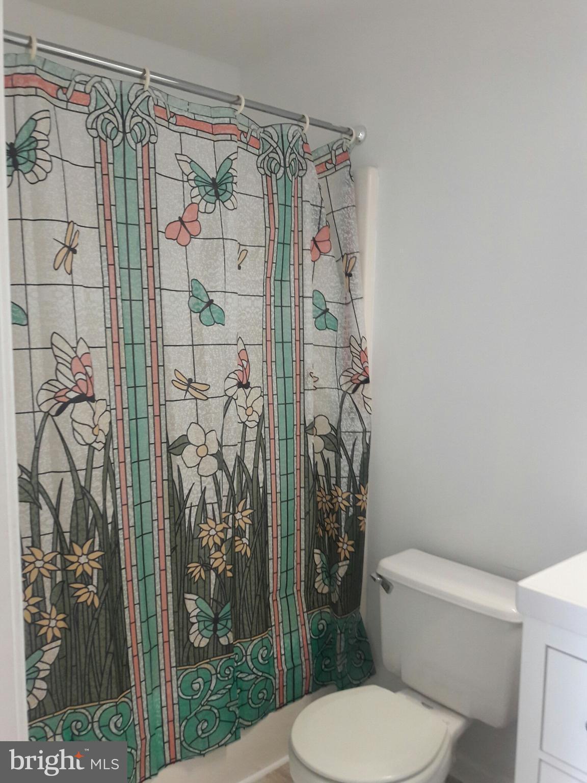 14927 Athey Road Burtonsville, MD 20866 - Photo 18 of 30 hall way bathroom ( upgraded) pic 1