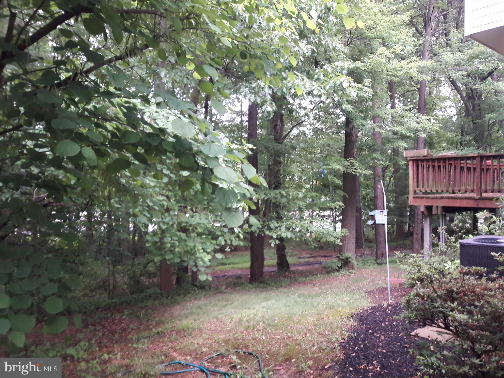 14927 Athey Road Burtonsville, MD 20866 - Photo 3 of 30 Deck, back yard