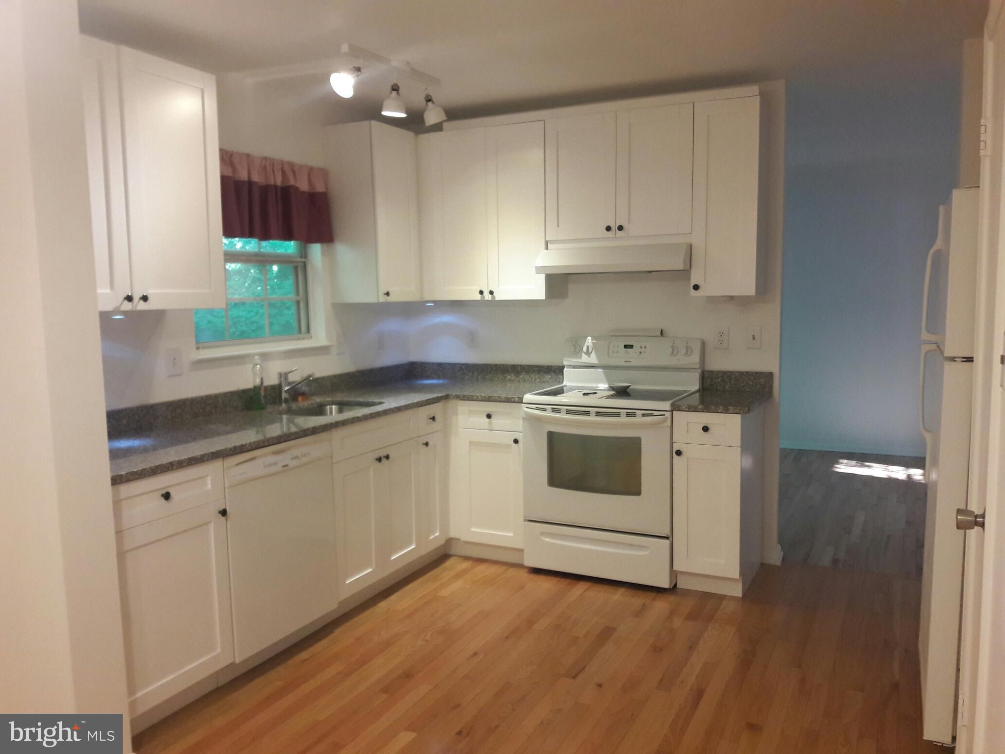 14927 Athey Road Burtonsville, MD 20866 - Photo 8 of 30 kitchen new lighting fixture