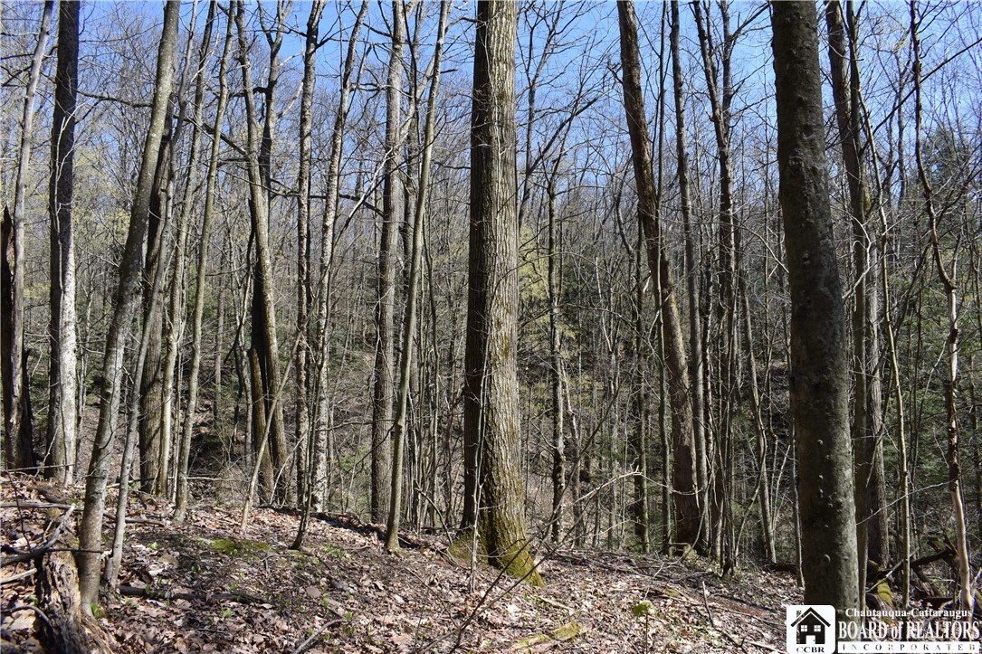 0 Fuller Gulf Road Cherry Creek, NY 14723 - Photo 7 of 25