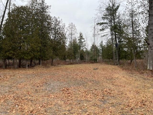 0 North Miller Road East Tawas, MI 48730 - Photo 10 of 23