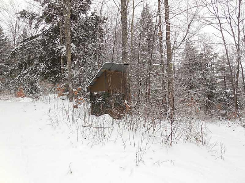 Lot #1 Off South Road Parsonsfield, ME 04047 - Photo 5 of 35 Land. Deer Blind. Lots of great hunting