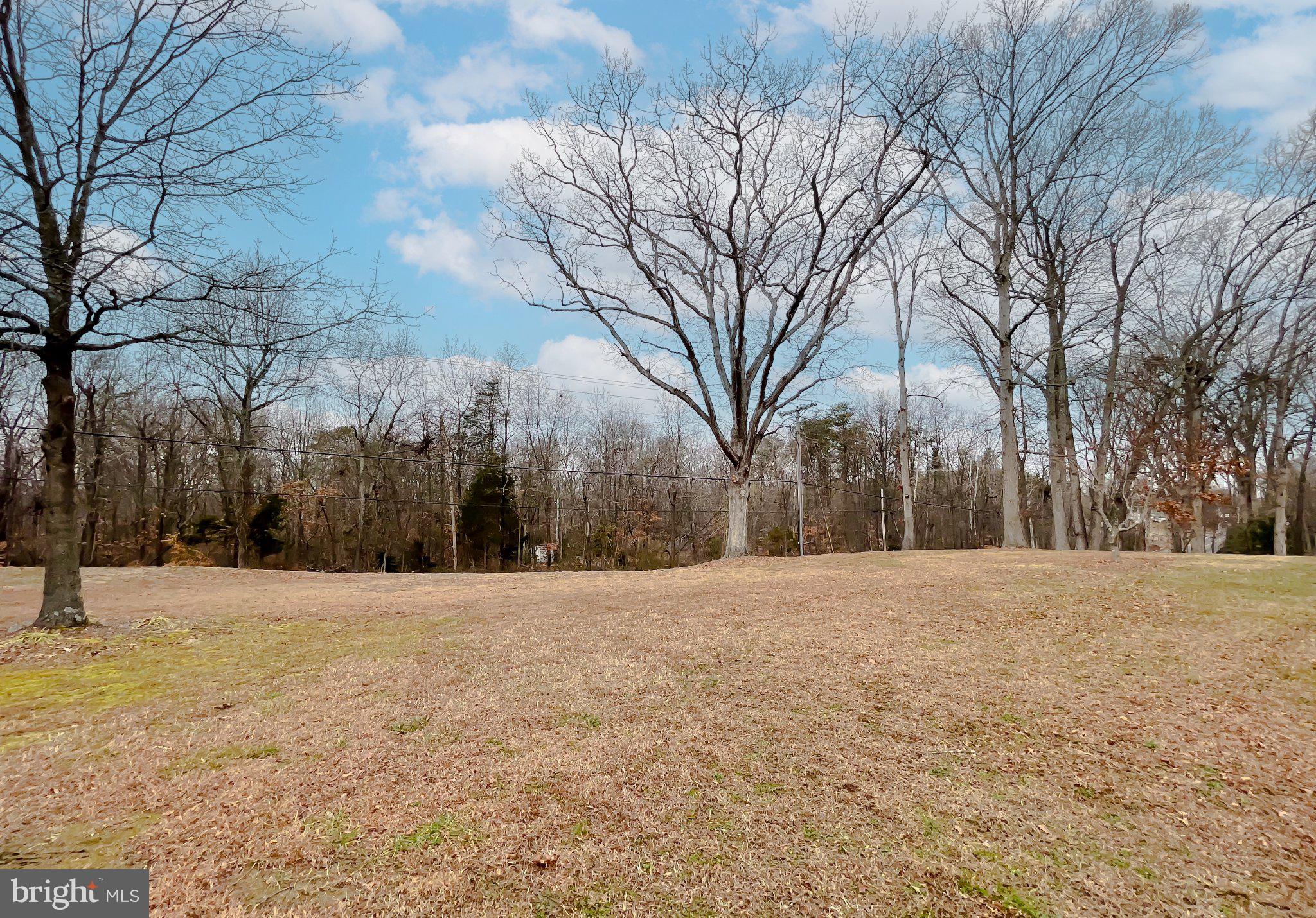 400 Adelina Road Prince Frederick, MD 20678 - Photo 43 of 57 Serene landscape with bare trees.