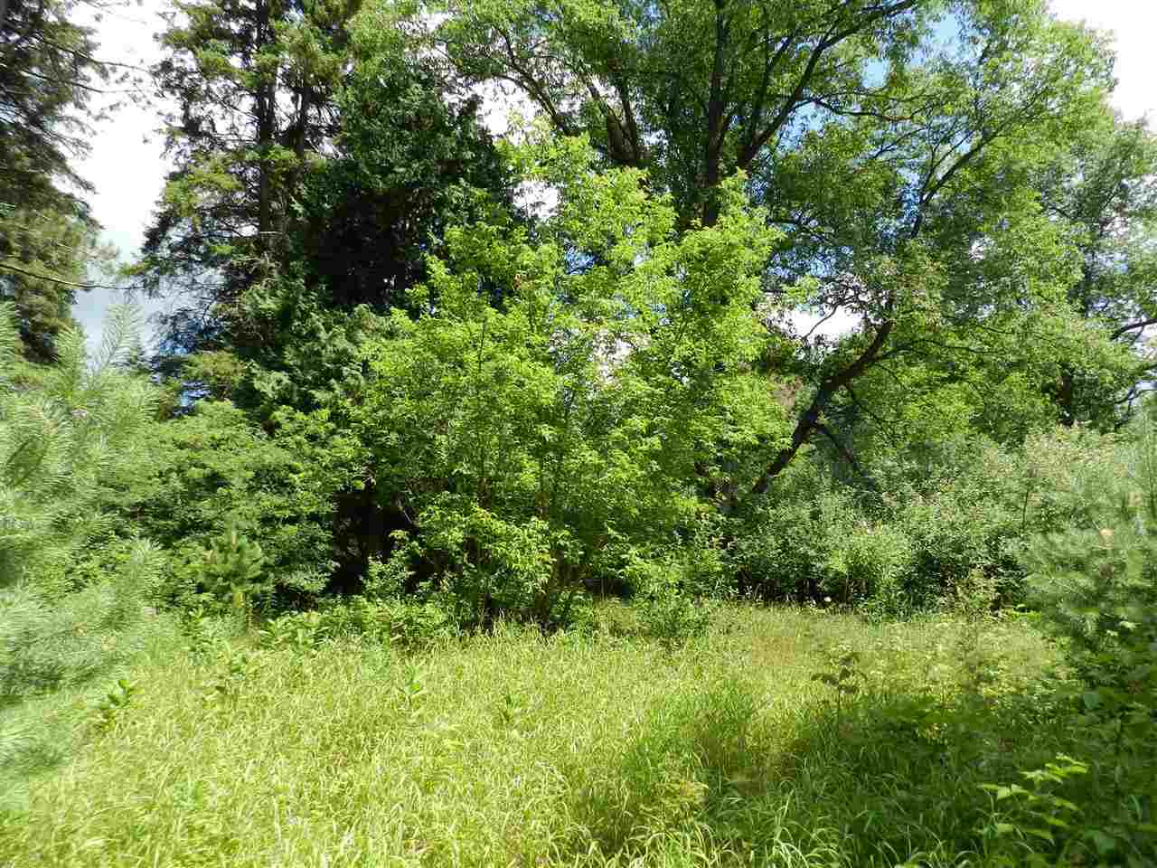 7529 Blue Road Southwest Fife Lake, MI 49633 - Photo 19 of 62 1865960-18.JPG