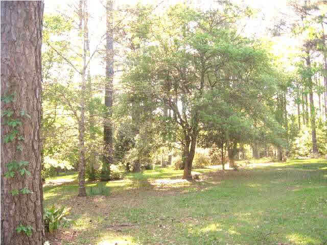 114 Rexford Road Florence, MS 39073 - Photo 4 of 23 Beautiful lawn