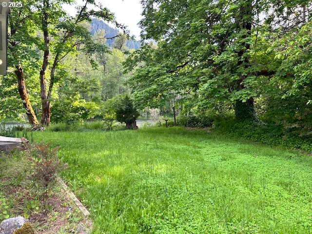 47520 Perkins Street Oakridge, OR 97463 - Photo 37 of 44 a view of yard with green space