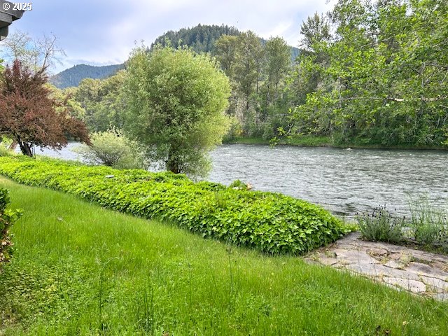 47520 Perkins Street Oakridge, OR 97463 - Photo 4 of 44 a view of a lake with a yard