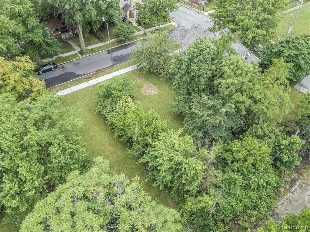 227 Alger Street Detroit, MI 48202 - Photo 10 of 12 Gallery Image 10