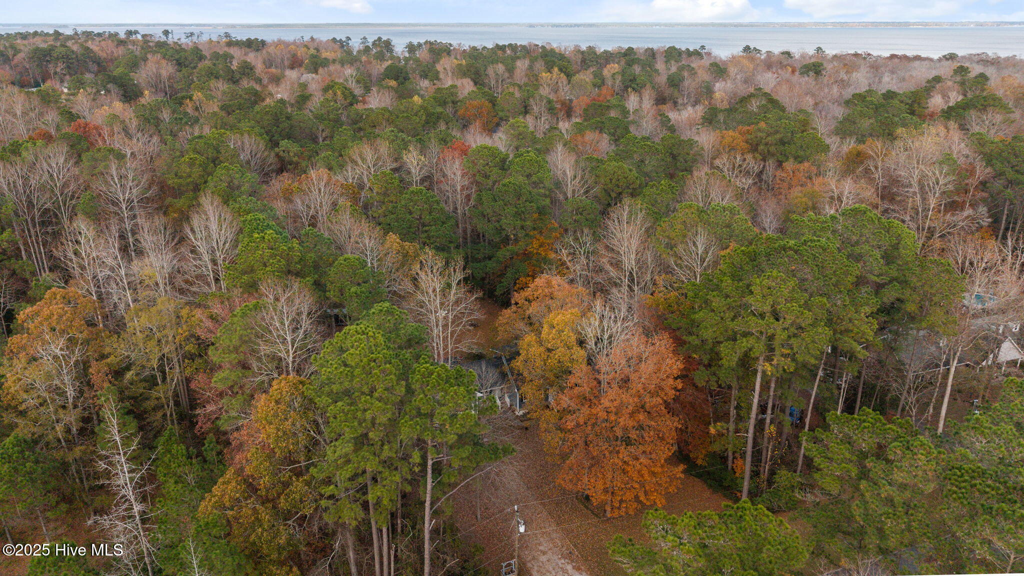 105 Ridgewood Trail New Bern, NC 28560 - Photo 33 of 36 9-web-or-mls-DJI_20251125144439_0179_D