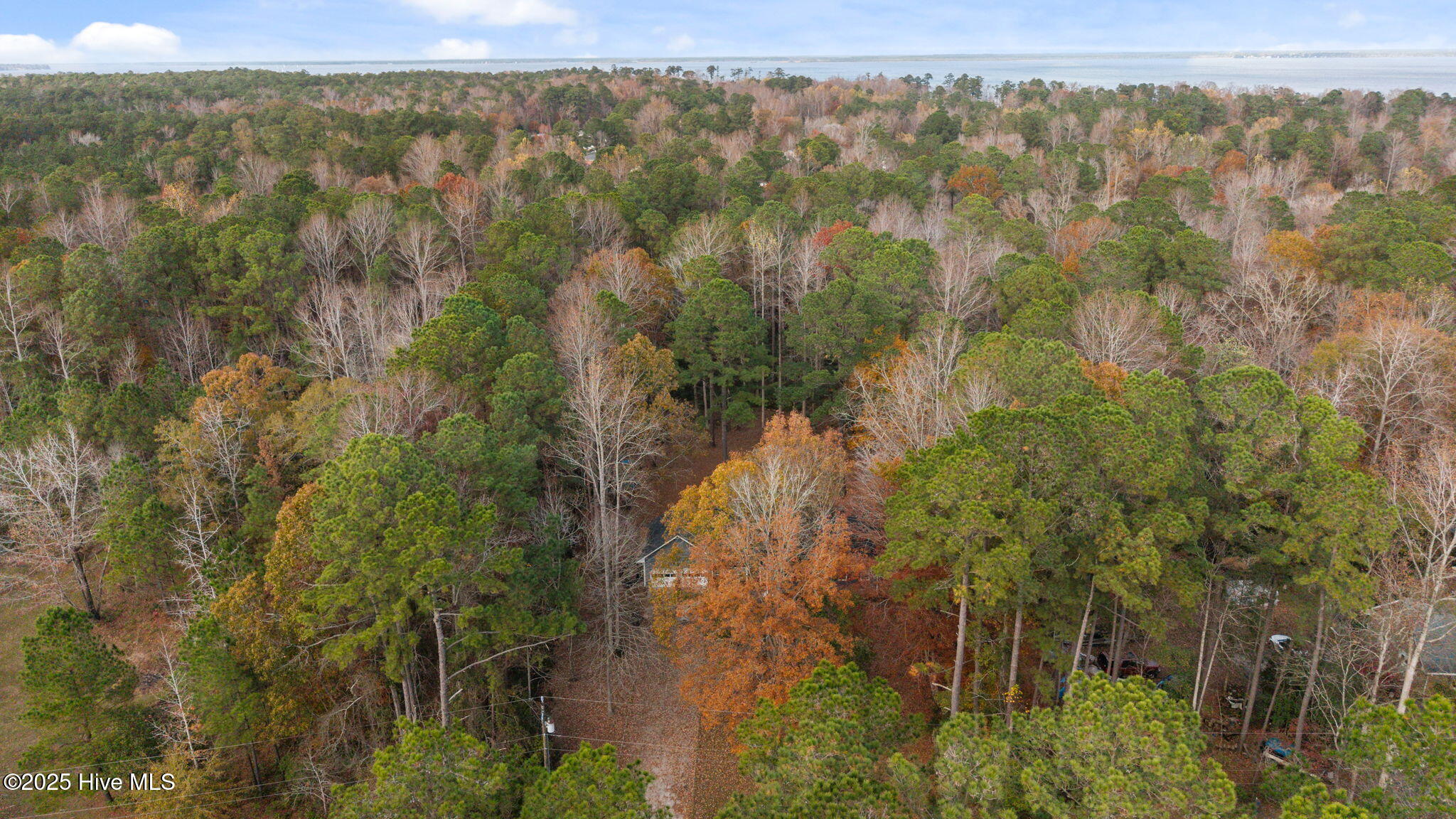105 Ridgewood Trail New Bern, NC 28560 - Photo 34 of 36 8-web-or-mls-DJI_20251125144433_0178_D